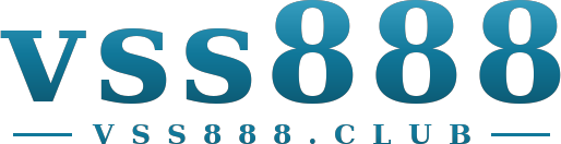 vss888 logo